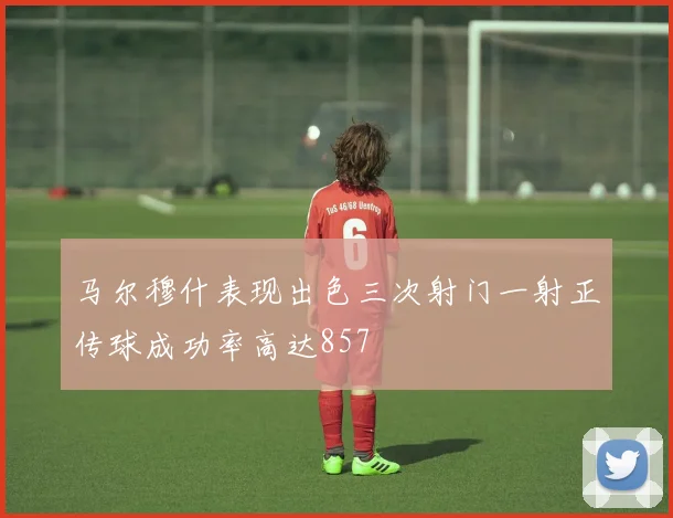 马尔穆什表现出色三次射门一射正传球成功率高达857
